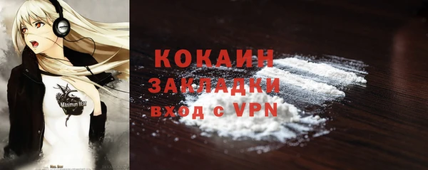 прущие грибы Кулебаки