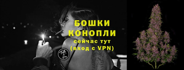 spice Краснослободск