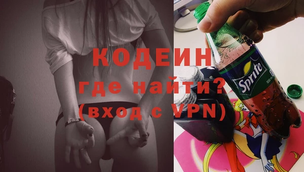 молекула духа Костерёво